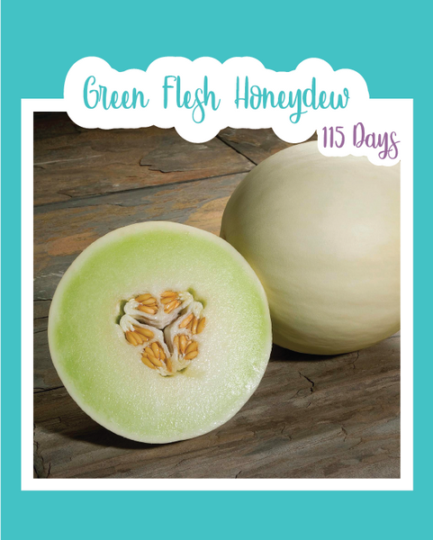 Shop Melon, Honey Dew Green and other Seeds at Harvesting History